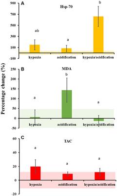 Acidification and hypoxia drive physiological trade-offs in oysters and partial loss of nutrient cycling capacity in oyster holobiont